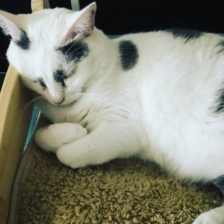 8d81997b 2986 484c bb3b 9665b3ca1051 1563059030203