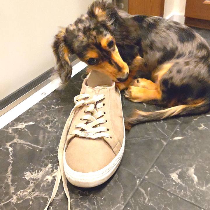 8d81b159 fa7a 4b28 b56e 1956d8933eaf 1700651210200