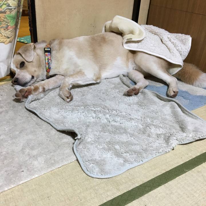 8d81dd6f d476 4220 bdc9 e27143dbcde8 1508632082492