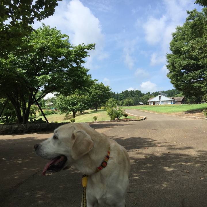 8d821eae 4328 4103 a7a5 d5d5957d9e2d 1534213227154