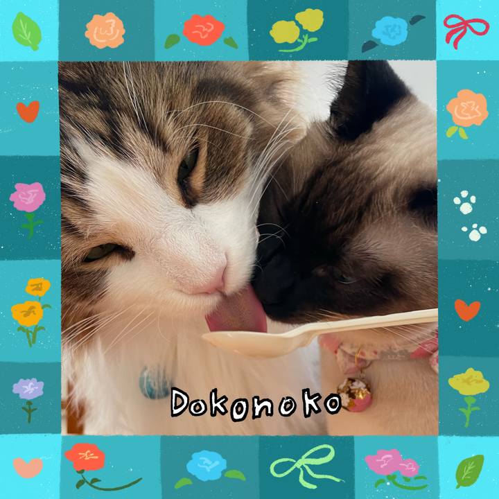 8d823349 3985 4706 9675 7876293e7a0b 1714900980250