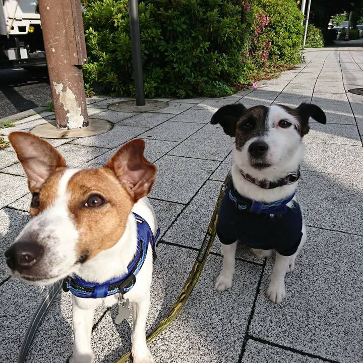 8d823b93 5b64 46f6 866d bbf2d2351271 1526249334198