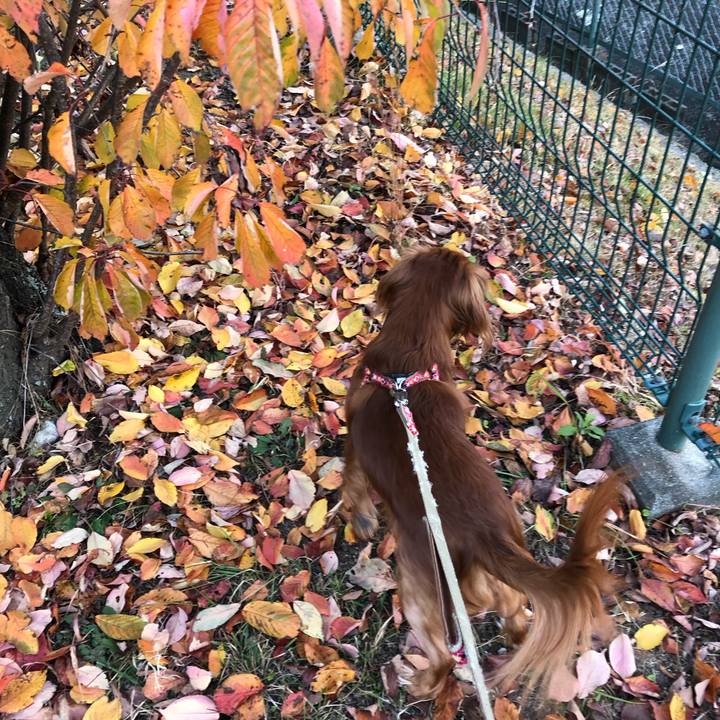 8d82937d 0896 4fe7 b7d5 af67679c37a4 1543664242775