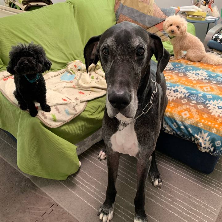 8d82a591 0400 4786 ae9b 247eb067246c 1572906863245