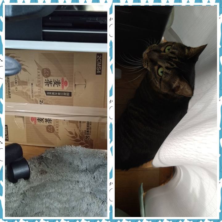 8d82a7f3 684e 4d8d b7a0 9fa8b40d0873 1761958970663