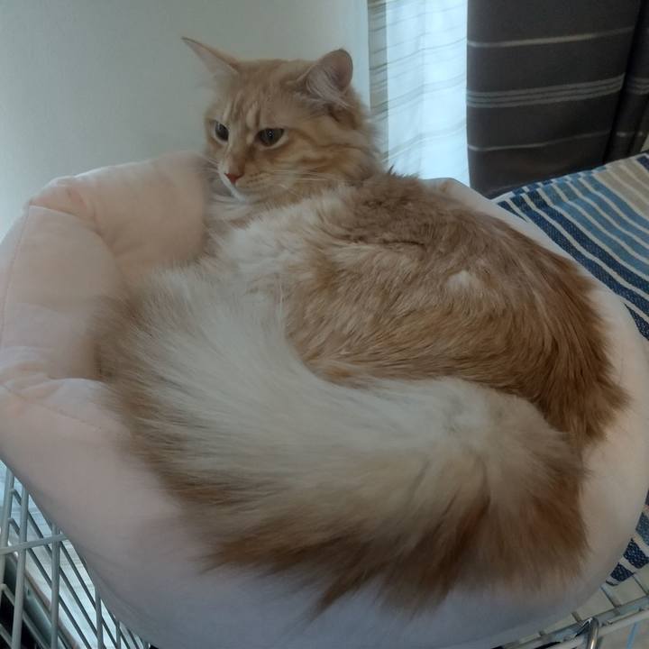 8d82adf8 393f 4f4b aa85 1a800ab4e9e2 1640136900808