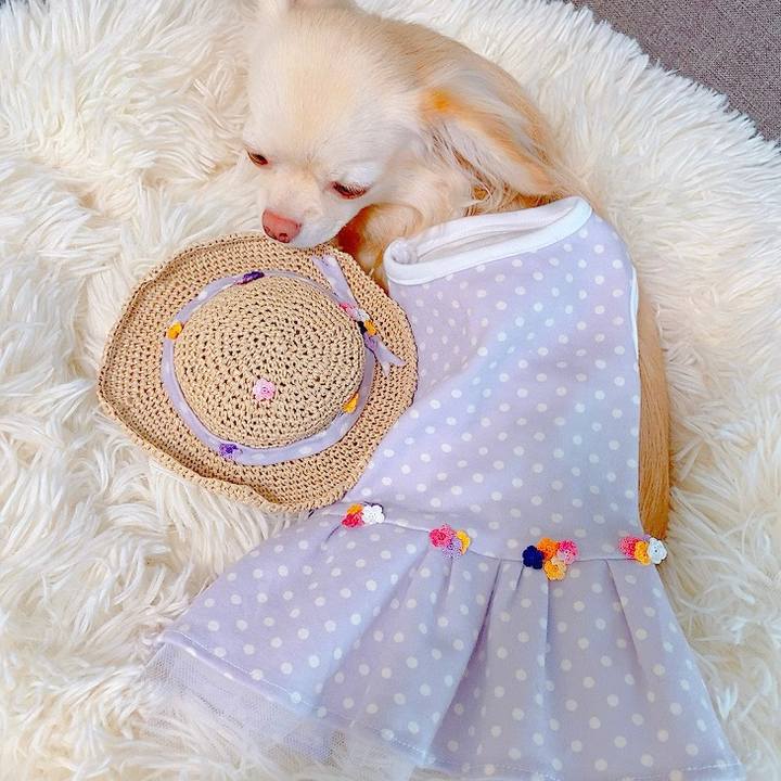 8d82b408 2a27 4cc0 a41a 4980c0e5cb1c 1623222575661