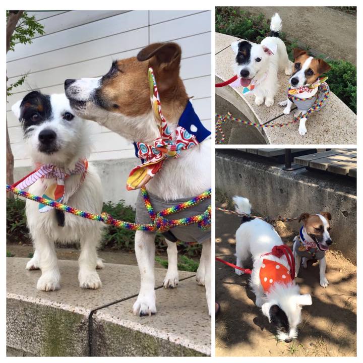 8d82cdda 1edd 46b3 900b 0d31fc8cf9ba 1660569493701