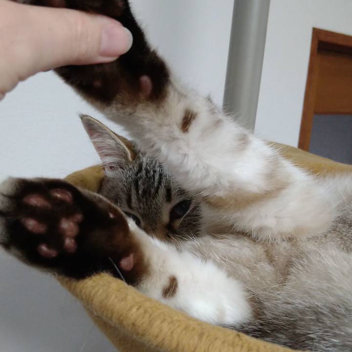 8d82d5d0 e282 4beb 85e5 ab049f5f6bae 1656158214944