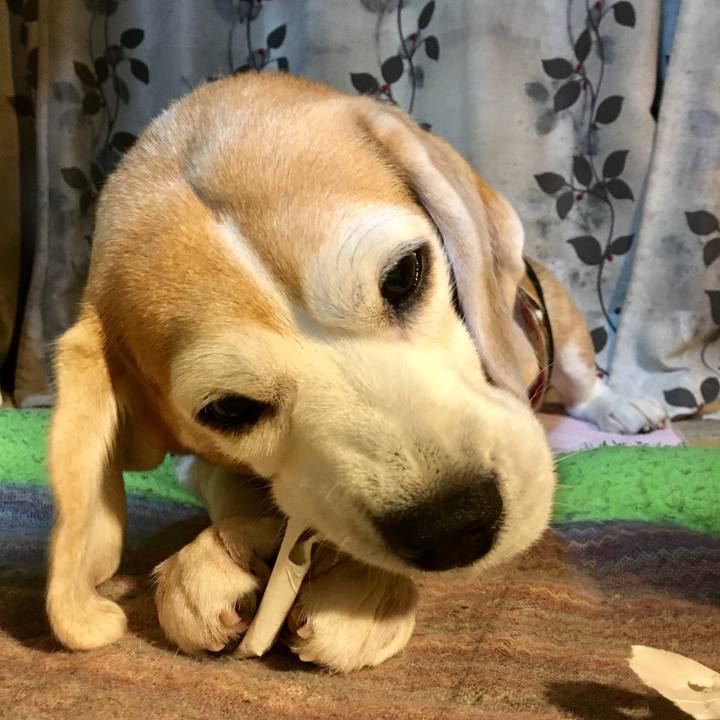 8d82f545 39d7 43d8 9b52 ceca0e8916ed 1771164259895