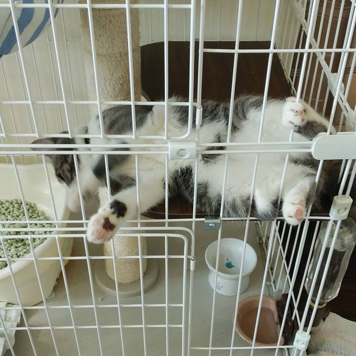 8d83651d 73e4 49db b062 00c92cdb5ff0 1569562412836