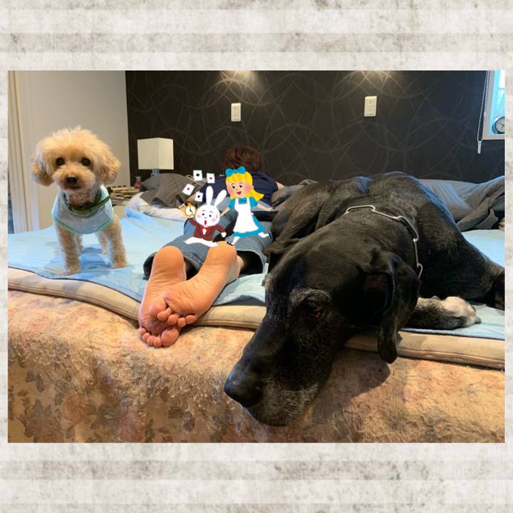 8d8413e6 978b 4cf1 bf7e 842cc8e5e3b8 1592116337136