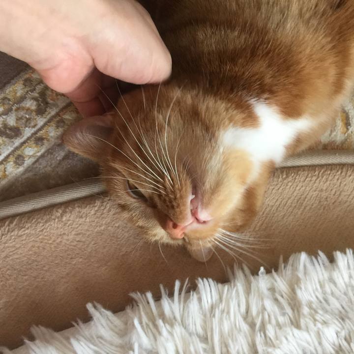 8d841495 cd0e 467d b3d4 d70c47ee0ad0 1533772968887