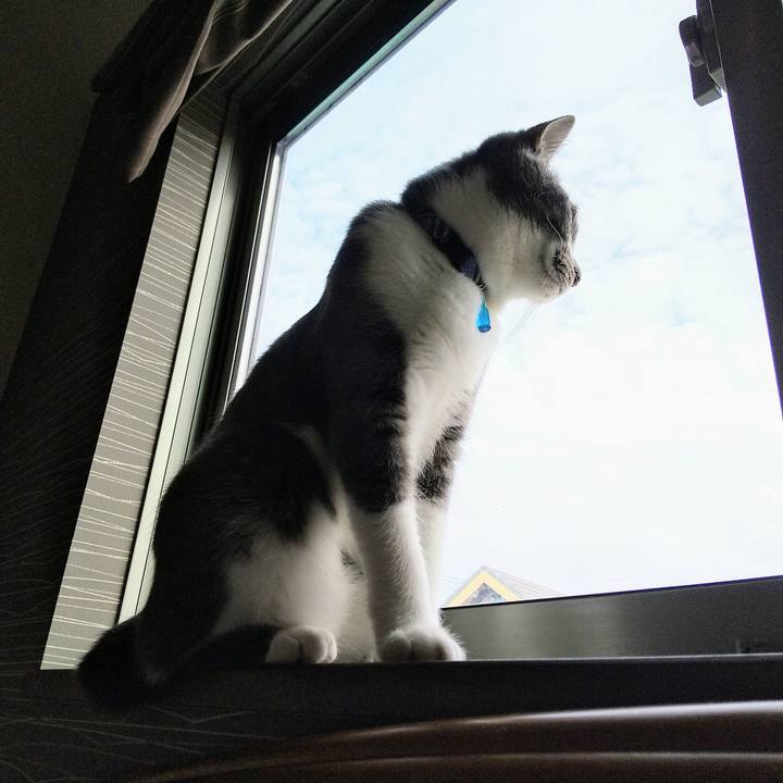 8d841586 2cf3 4ef5 9865 486dd5d64ca5 1602024279936