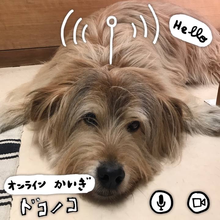 8d841dfe 2ca1 4bad 9e0e 1e2e05fa2cce 1590743749662