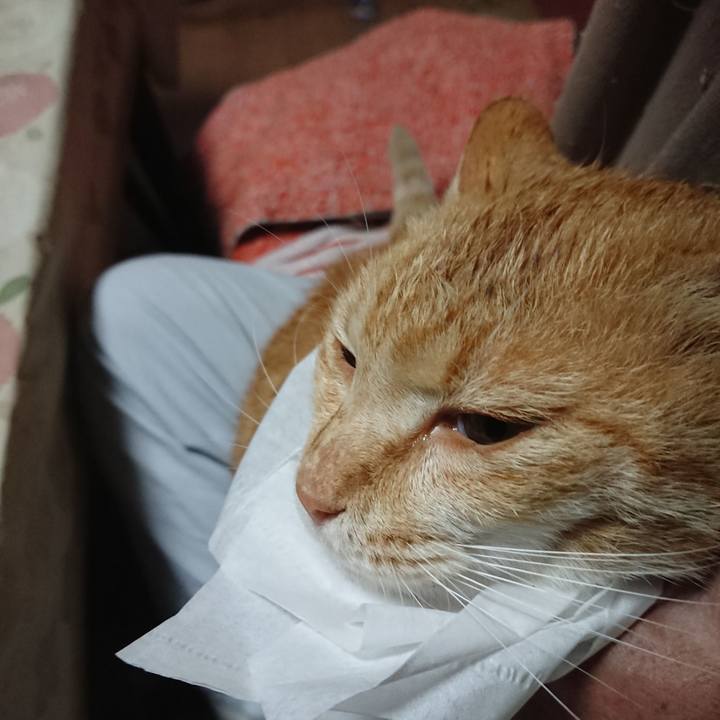 8d842b99 f7e2 4dc8 91c5 5660c5f87a29 1588710061247