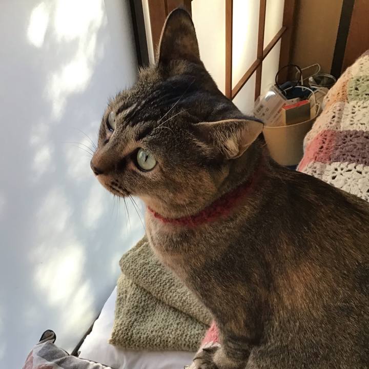 8d843cd1 349b 4948 85e0 bbc0378b3325 1642115964299