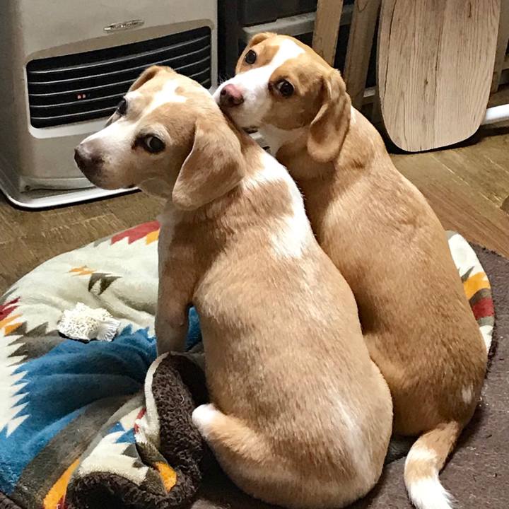 8d8446df d674 454c b01d efe5c3dd7bc4 1548547140631