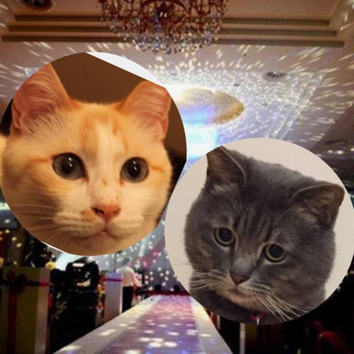 8d8496e6 da61 4d05 a1f4 8c3e915a6835 1699786587346