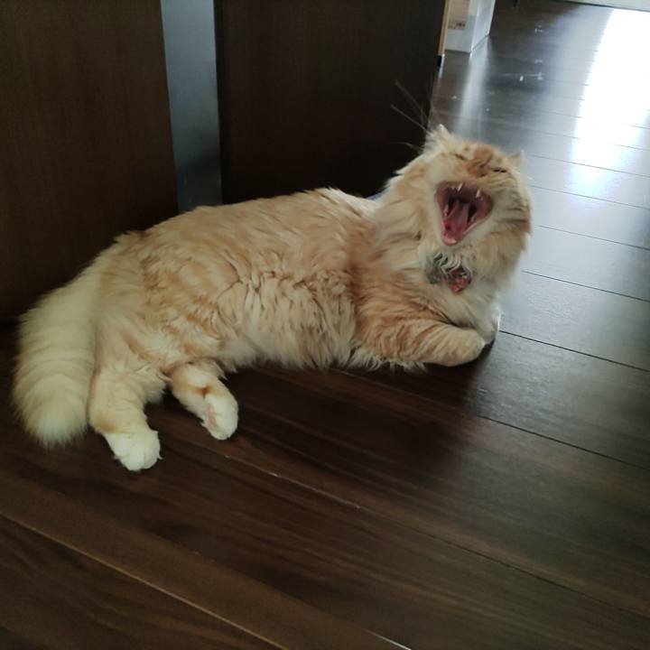 8d849903 5fd9 4824 8371 ec55d97c2f86 1653809056602