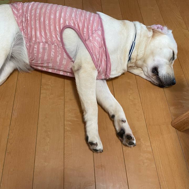 8d84ace2 1530 4154 8d08 423e60995978 1630723817229