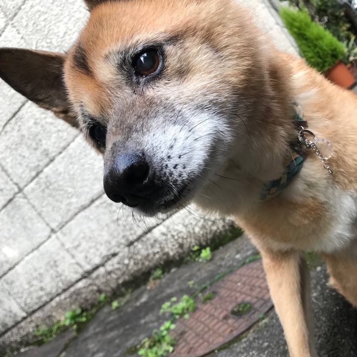 8d84c577 3a3f 4a19 8ceb 456864cbdb24 1544313595119