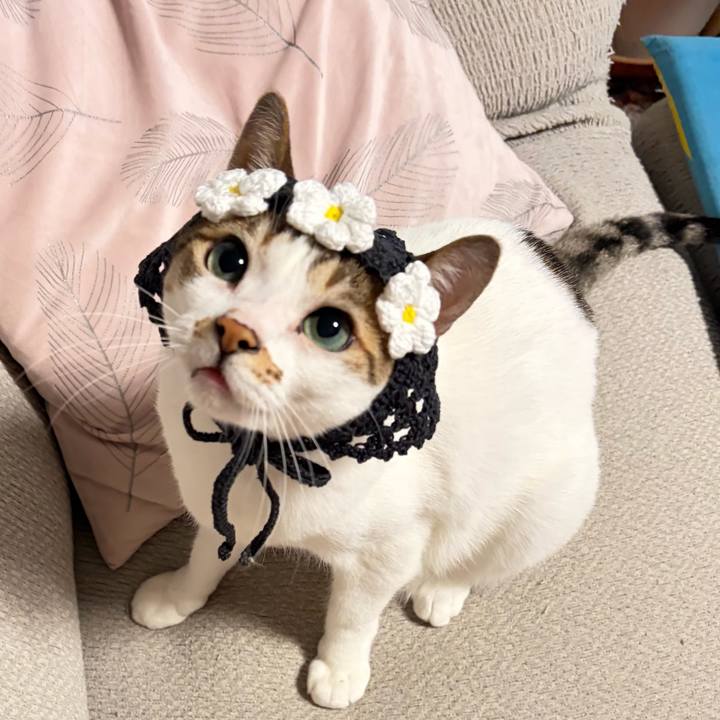 8d84f089 4e3a 47c6 b5da 4995e1d70163 1771802557802