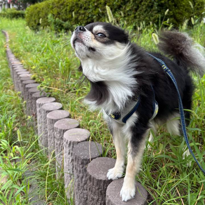 8d852c88 c6b3 4949 9f47 620c721d0ece 1755190573070