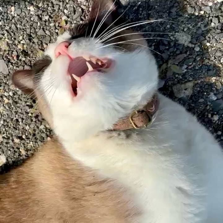 8d854012 bace 4c33 bf16 36137846cbb0 1773630381393