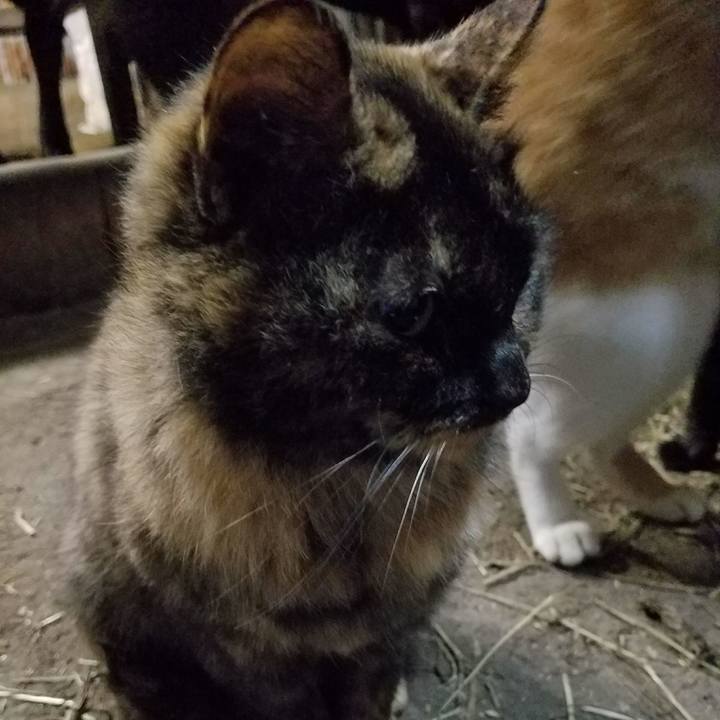 8d855245 f4a6 4d0e af82 fa3e07cc26bc 1511040779159