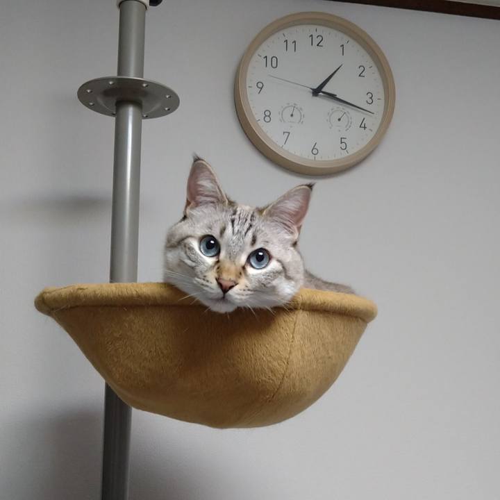 8d856b4c 4e75 4de1 9b74 4b508d78ac9e 1665677970343