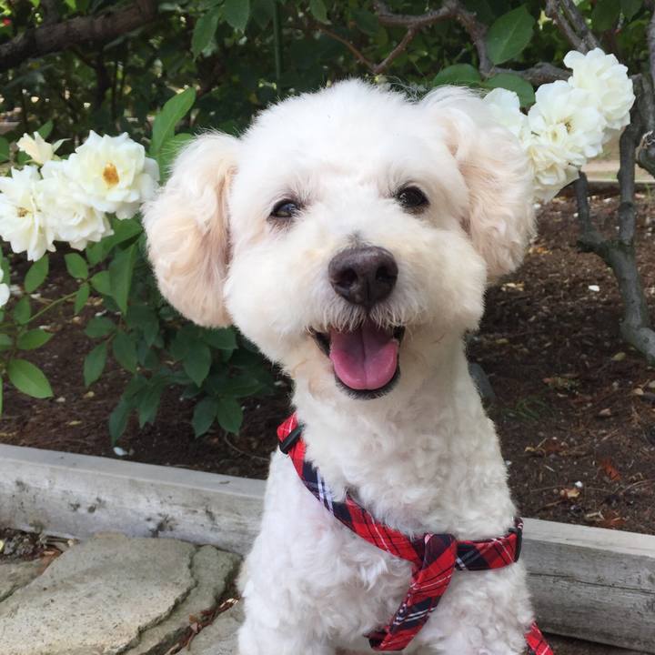 8d859003 b80c 48b1 bdc5 c15545de08f5 1566575343487