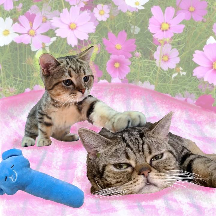 8d860115 6331 4784 a697 43b04b35cb2c 1663793141479