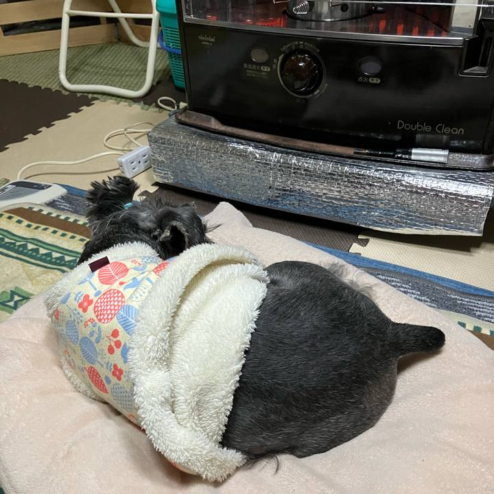 8d860929 a097 44f9 a12d 4b9eb68dac05 1743345357742