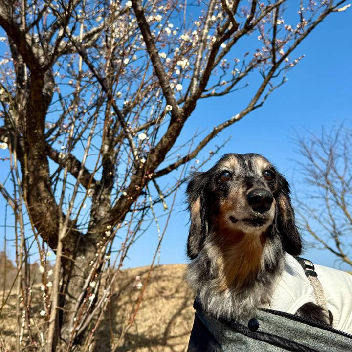 8d8650e3 4335 43a3 95c2 a2e9127d0827 1768649840545