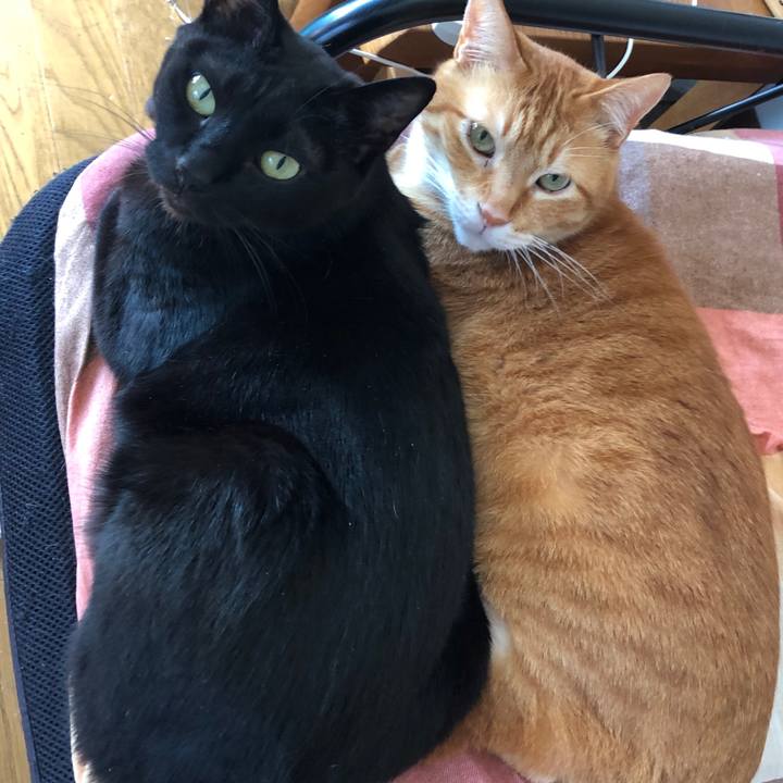 8d86ac7c 92f8 4e6b 9de1 72623bf4be1d 1717285017173