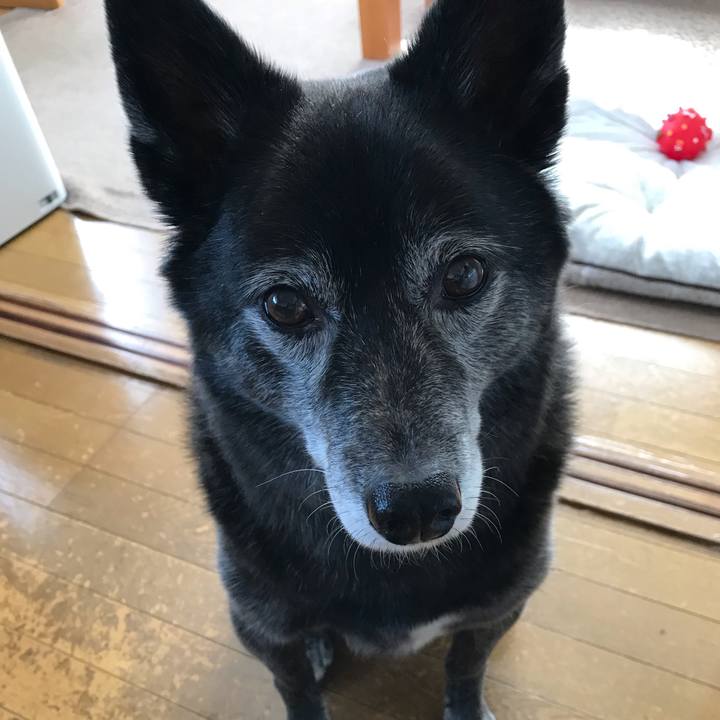 8d86e7a8 b9ef 4107 9fc4 3658e729a0fb 1582551742453