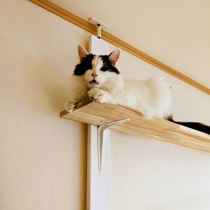 8d86fa2f 5dff 4de0 9008 f0a107a4a03e 1772768026041