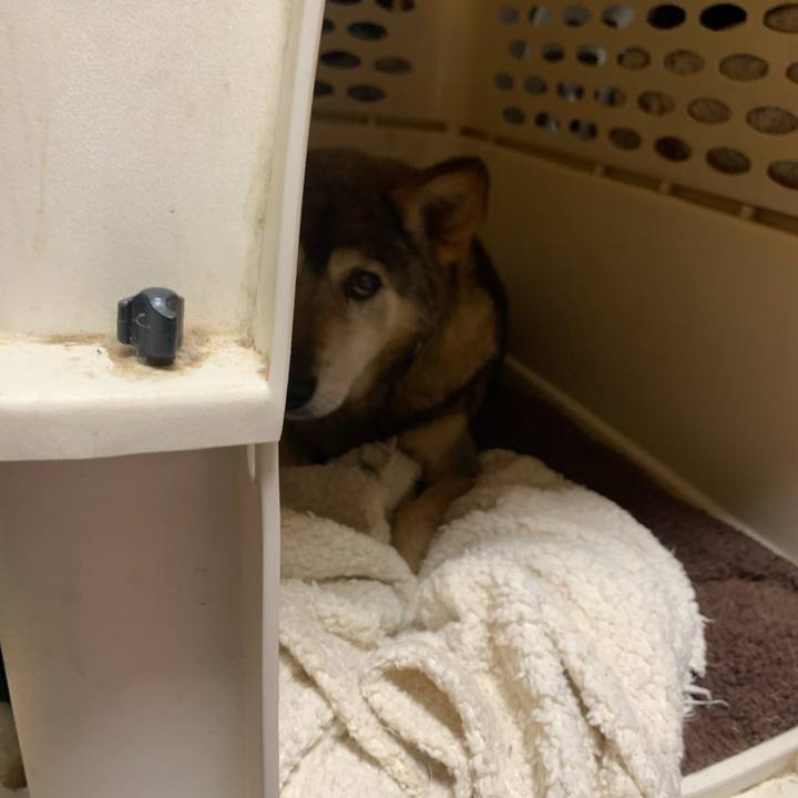 8d870b33 c750 485e 96e7 59c240d02868 1578668598793