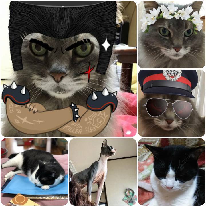 8d8724a6 6538 475d b916 5c5d49b427cb 1562918574511