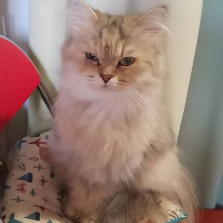 8d8737aa 9181 416c bd58 970558efde66 1630542426057