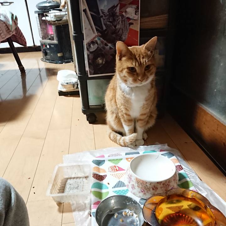 8d874bc3 5113 4831 90b2 b892a6d60e22 1606940728147