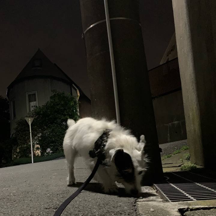 8d874c00 e787 44ed 9126 42806219f123 1719407276775