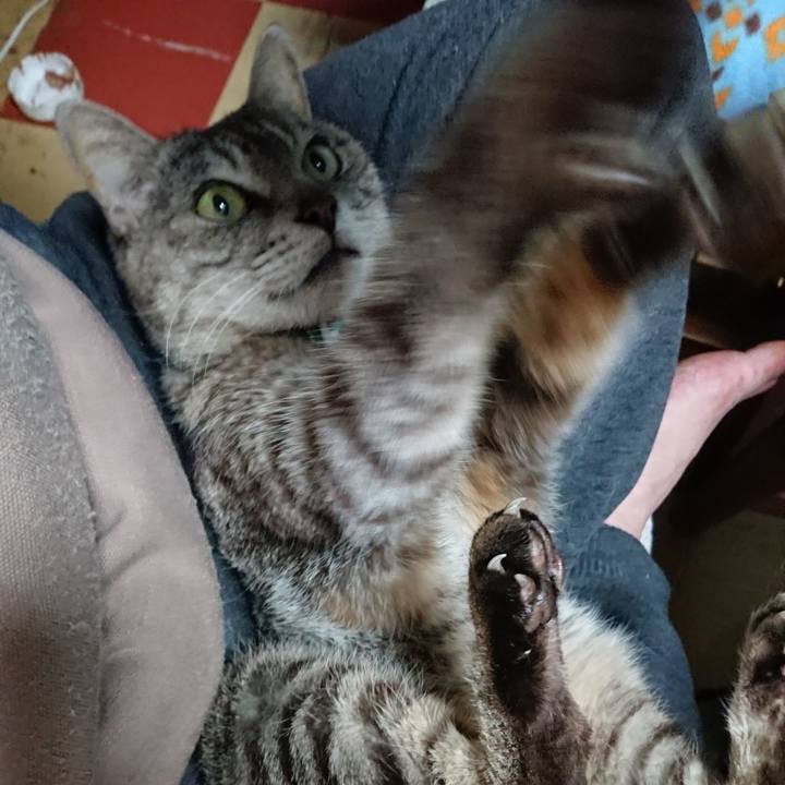 8d875ba4 04e9 4fbe ab3c 750bb6e3f247 1560551923231