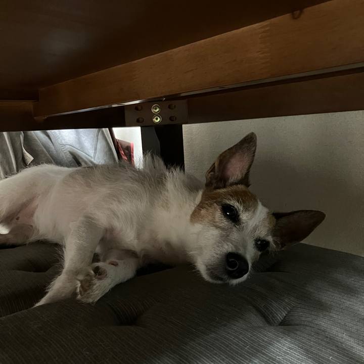 8d8774eb 08b1 45fa 9440 5999e65f0b79 1692573459020