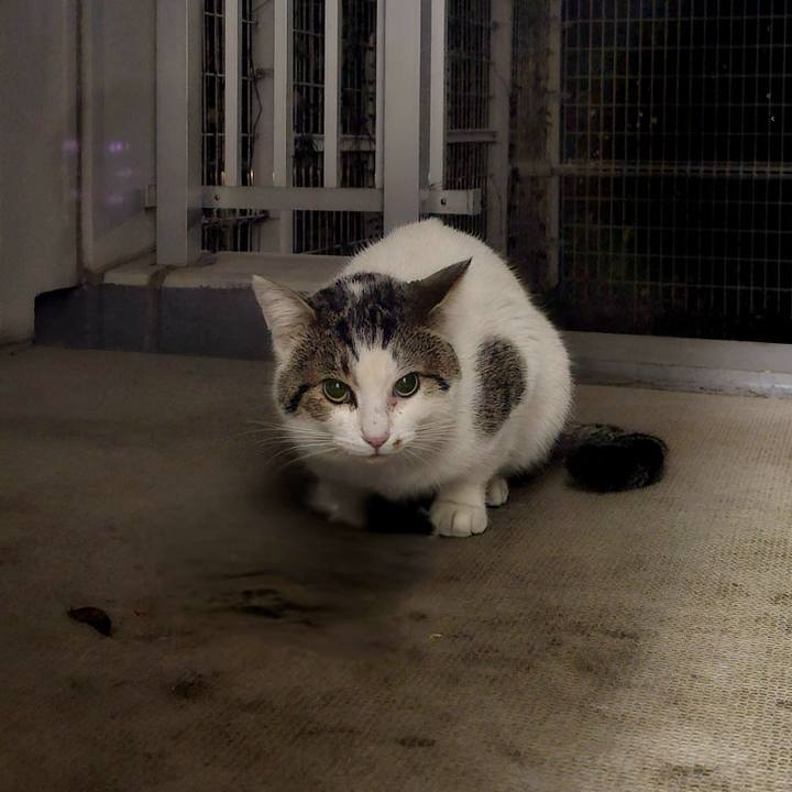 8d87ab2f 450c 4194 be92 27ca046d454b 1745220925600