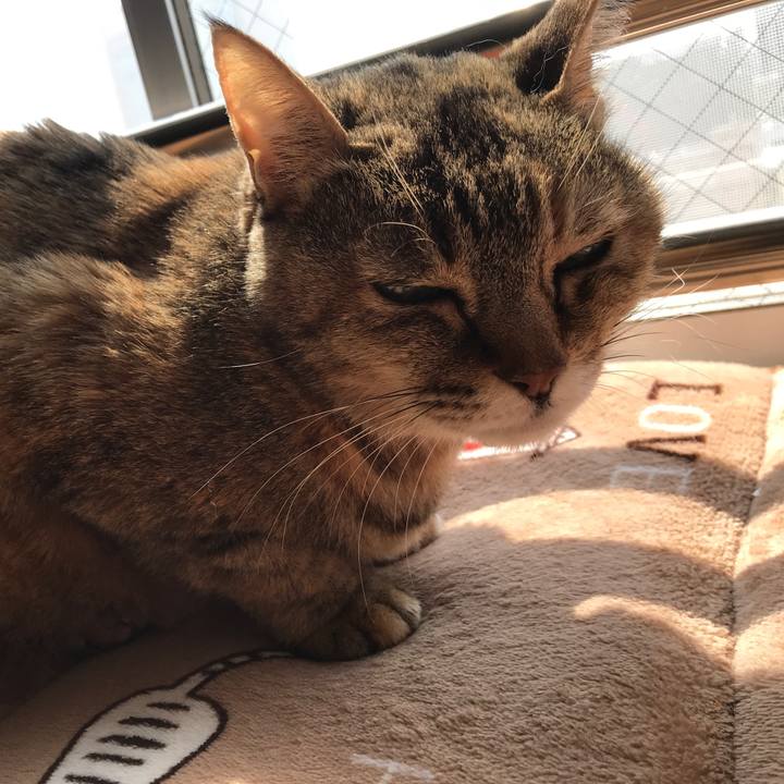 8d87f7bb 7fb0 4de1 a4fe eef708c6e589 1520738288407