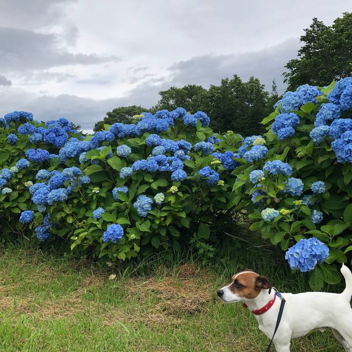 8d8833b3 59b7 4d0c b4ef 60d4802c820c 1594711931021