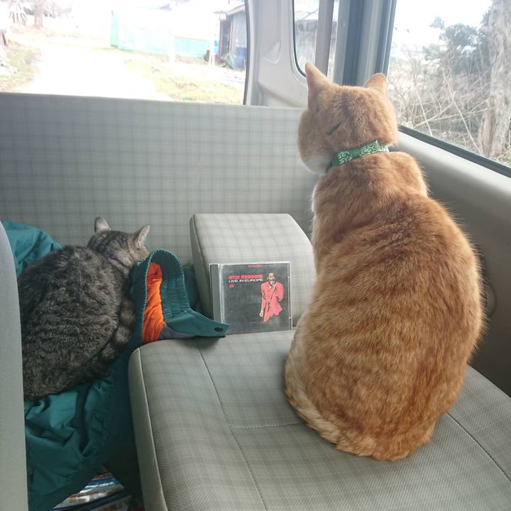 8d8843e2 8020 43dd 9422 22ef7c70f8b0 1583032735011