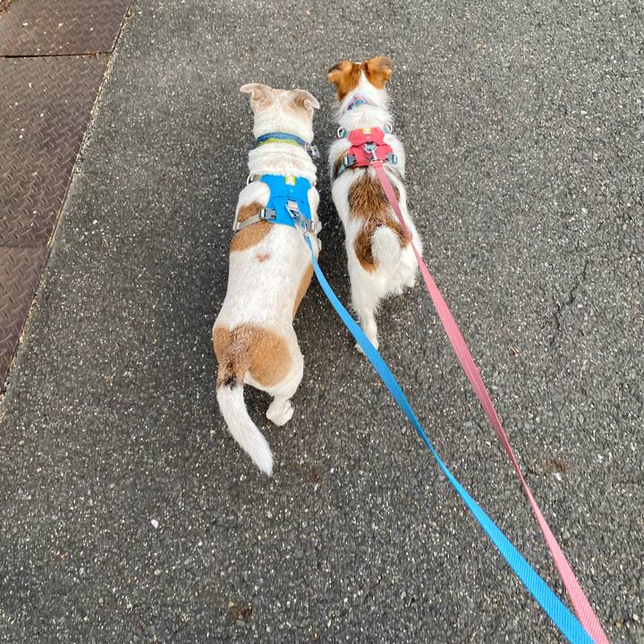 8d88452b c8b5 413a ae4a f93ca3bb4779 1700696812296